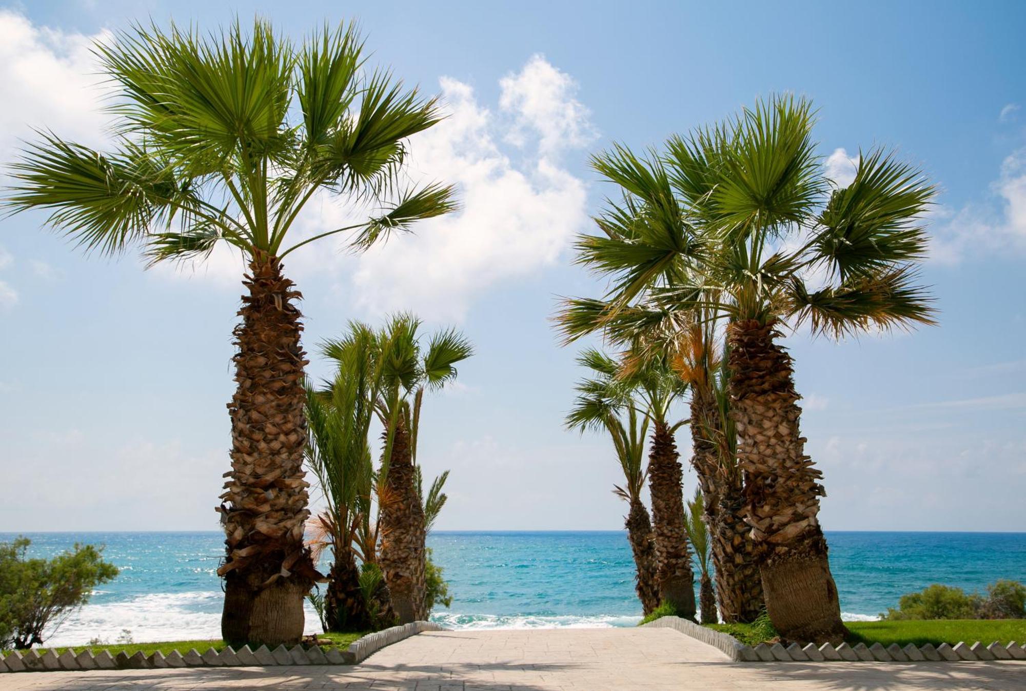 Louis Paphos Breeze Hotel Klorakas Exterior photo